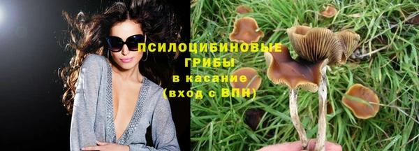 jwh Вяземский